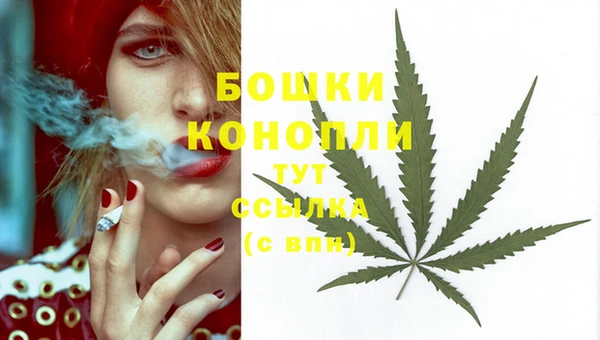 соль ск Тобольск