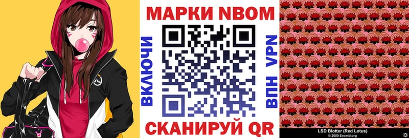 как найти наркотики  Камешково  Марки N-bome 1500мкг 