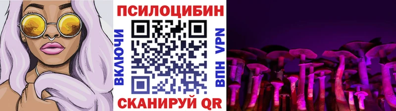 Галлюциногенные грибы мицелий  это как зайти  Камешково  где продают наркотики 